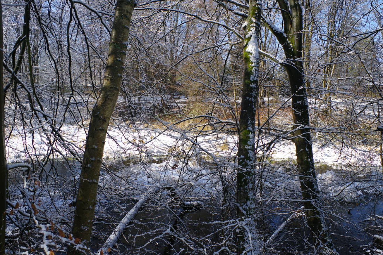 Image PK330408